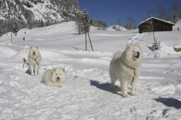 Kandersteg 2013